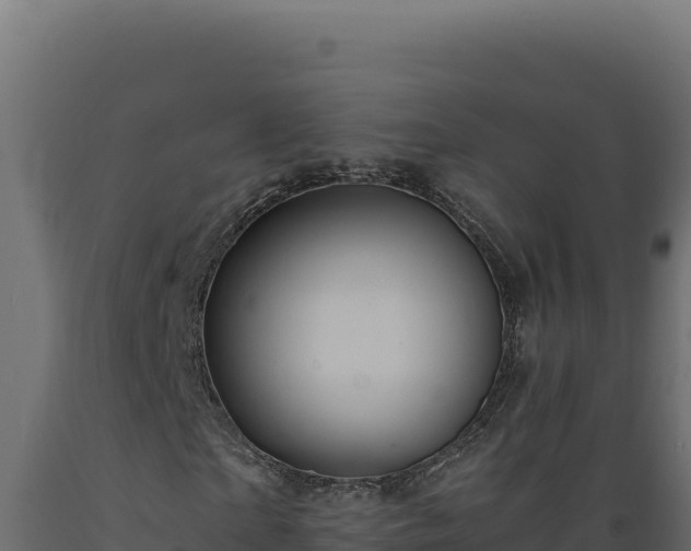 X0000089950865200707061118
