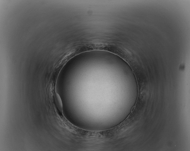 X0000089950866200707061118