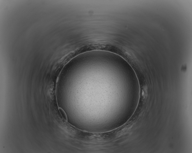 X0000089950867200707061118