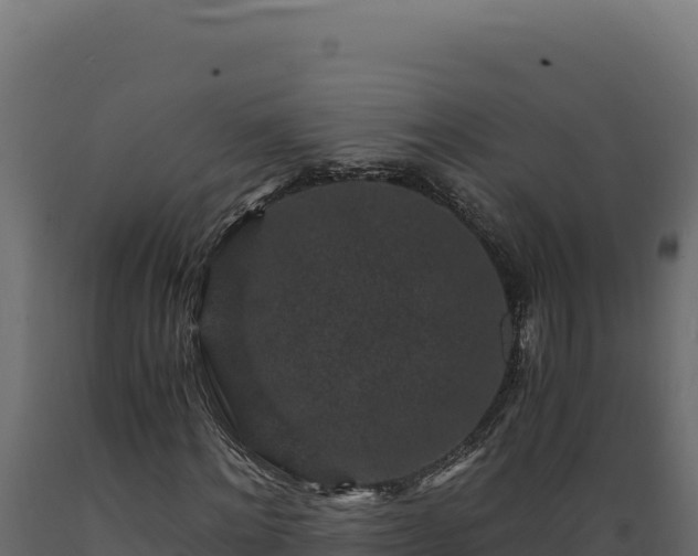 X0000089950868200707061118