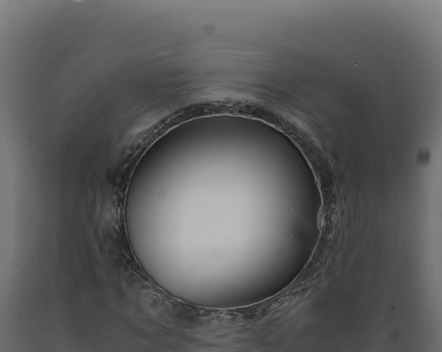X0000089950869200707061118