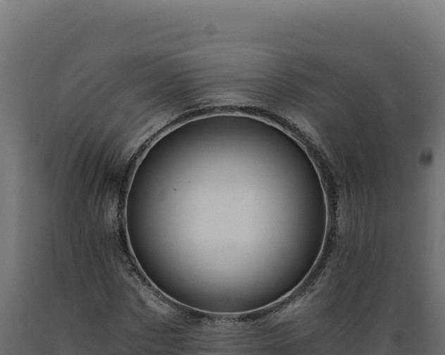 X0000089950873200707061118