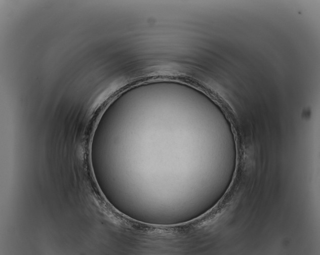 X0000089950874200707061118
