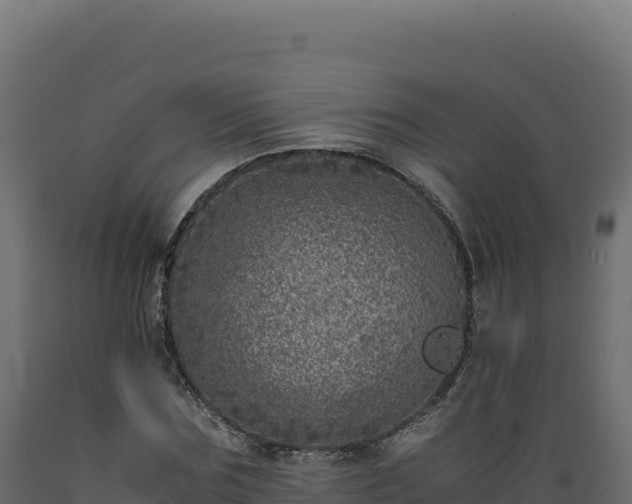 X0000089950875200707061118