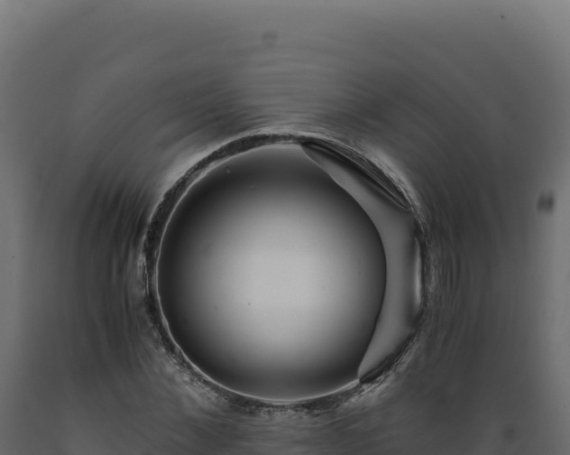 X0000089950876200707061118
