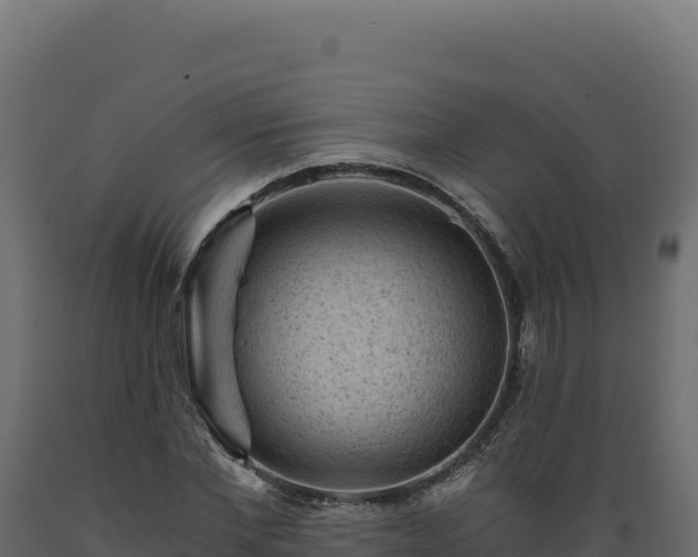 X0000089950877200707061118