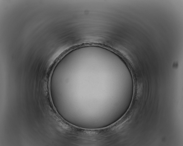 X0000089950878200707061118