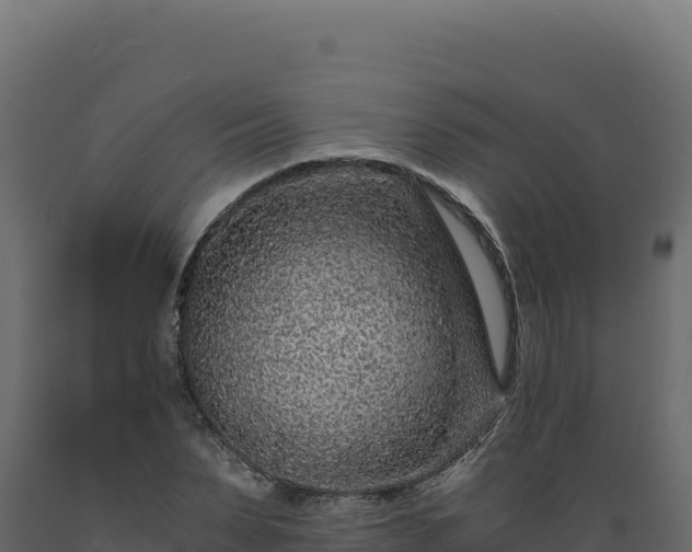X0000089950879200707061118