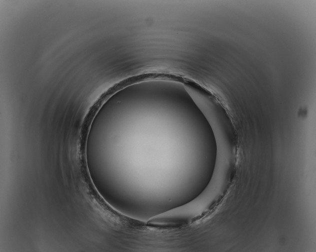 X0000089950880200707061118