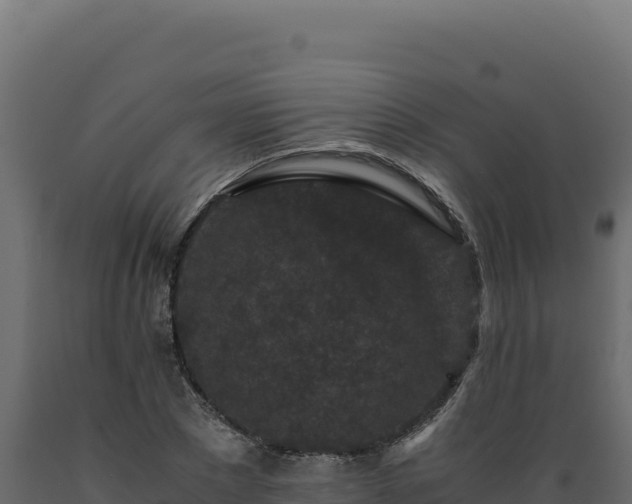 X0000089950881200707061118