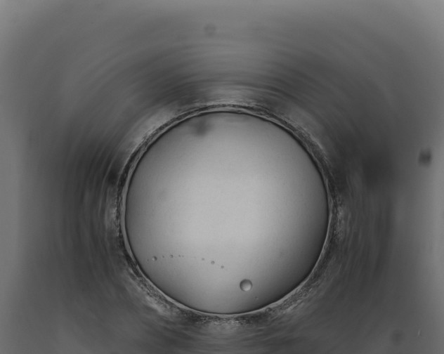 X0000089950882200707061118