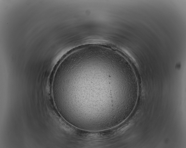 X0000089950883200707061118