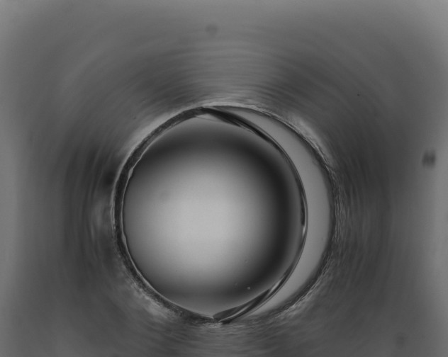 X0000089950884200707061118