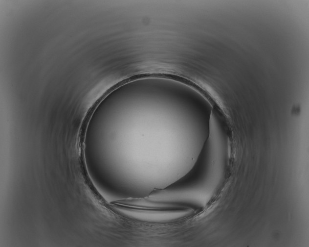 X0000089950885200707061118
