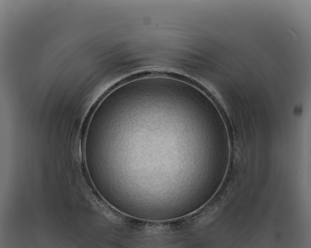 X0000089950887200707061118