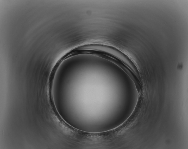 X0000089950888200707061118