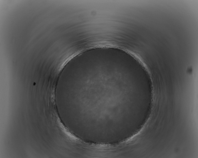 X0000089950889200707061118