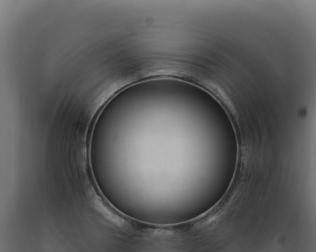 X0000089950890200707061118