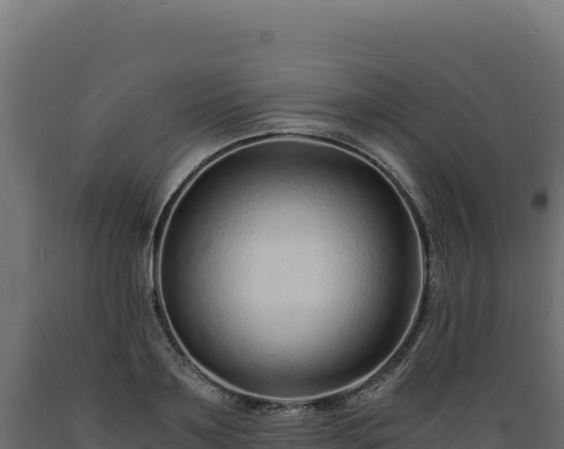X0000089950891200707061118