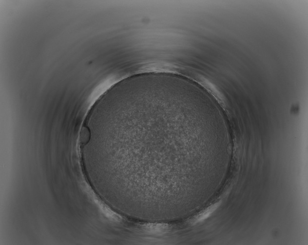 X0000089950893200707061118