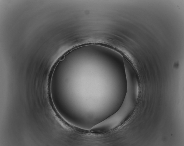 X0000089950894200707061118