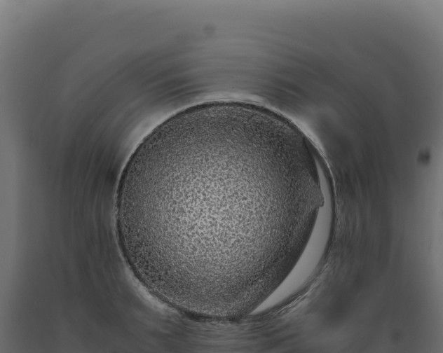X0000089950895200707061118