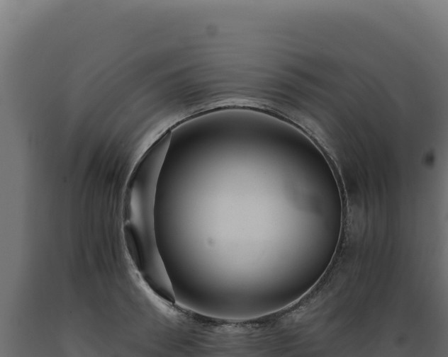 X0000089950898200707061118
