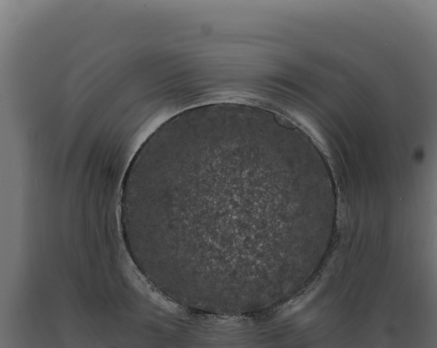 X0000089950899200707061118