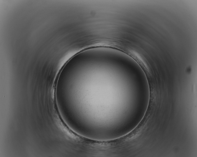 X0000089950900200707061118