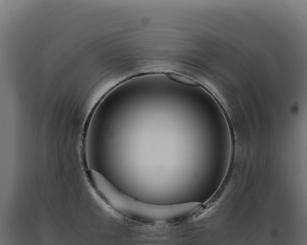 X0000089950901200707061118