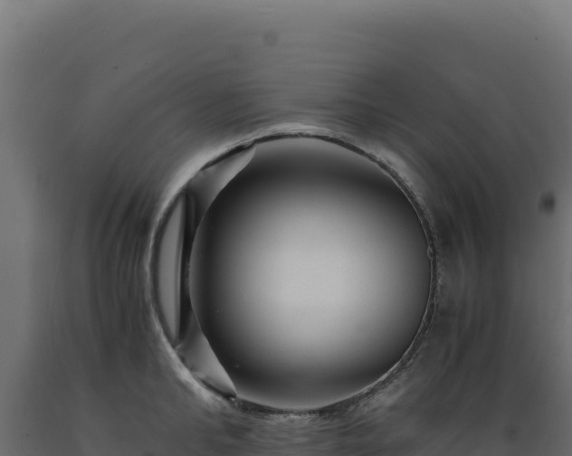 X0000089950902200707061118