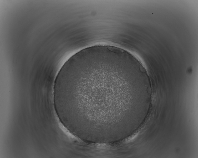X0000089950903200707061118