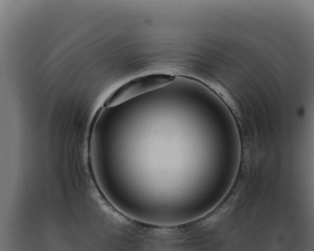 X0000089950904200707061118