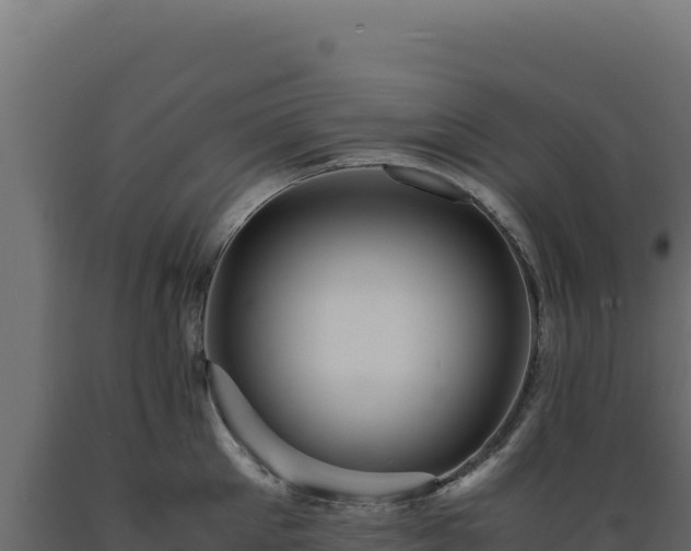 X0000089950905200707061118