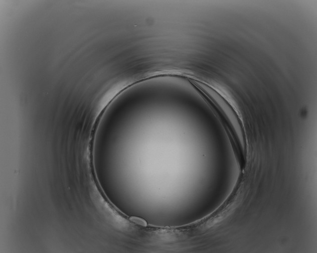X0000089950906200707061118