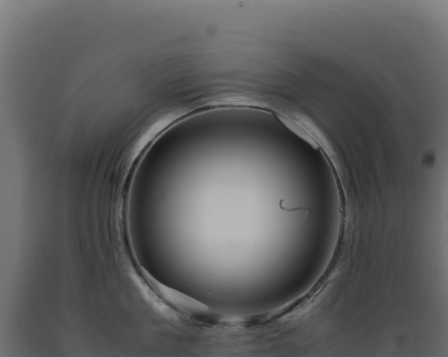 X0000089950909200707061118