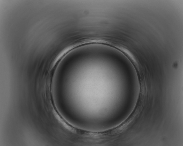 X0000089950910200707061118
