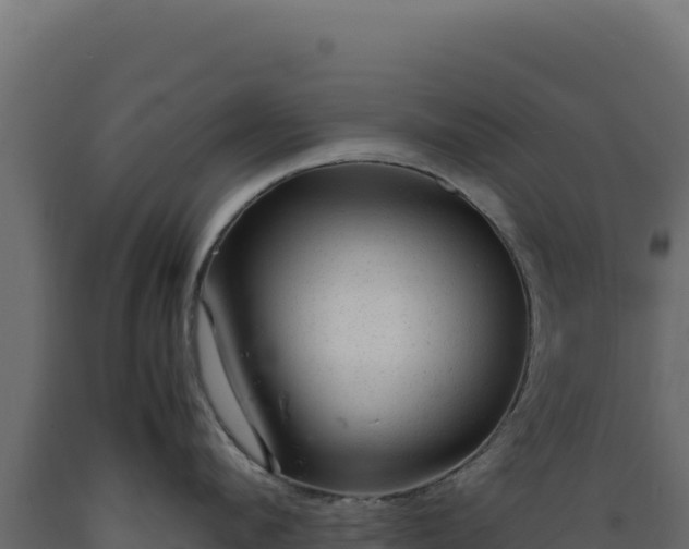 X0000089950912200707061118