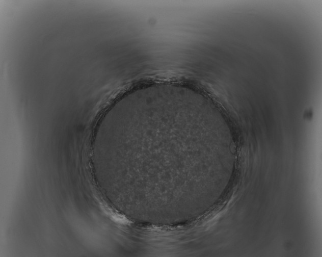 X0000089950913200707061117