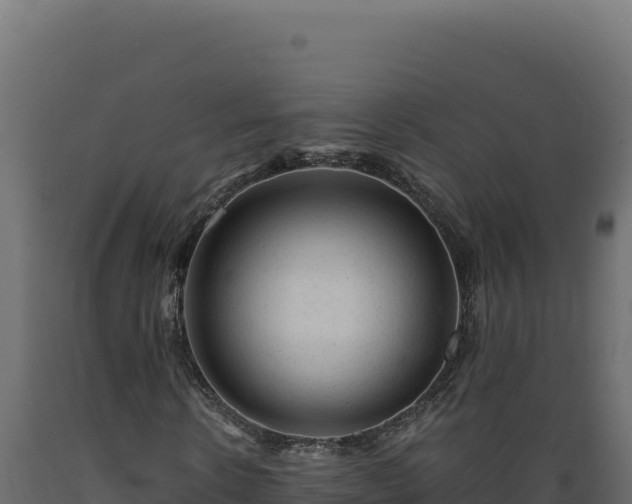 X0000089950914200707061117