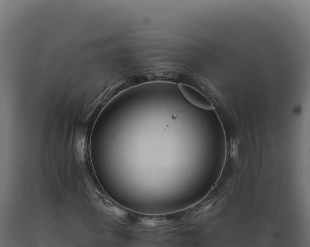 X0000089950915200707061117