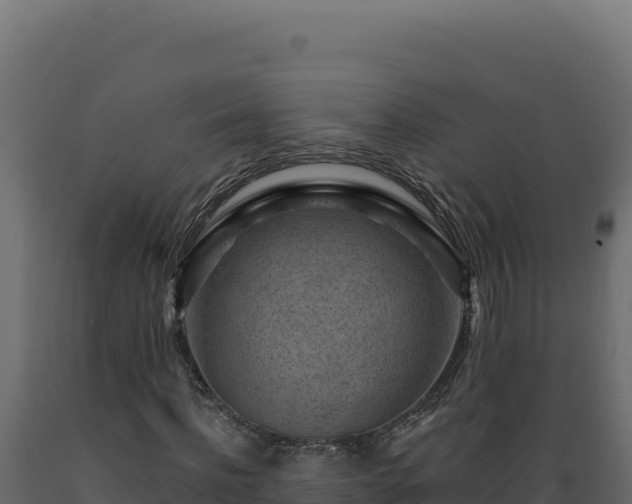 X0000089950916200707061117
