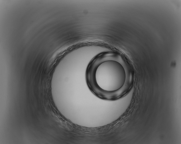 X0000089950920200707061117