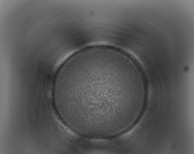 X0000089950921200707061117