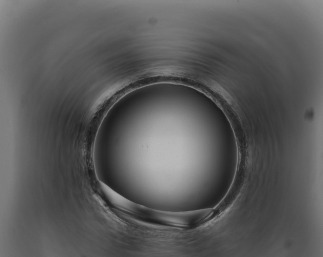 X0000089950922200707061117