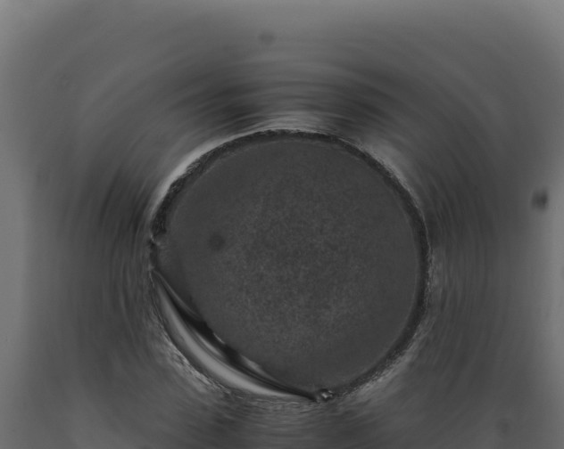 X0000089950923200707061117