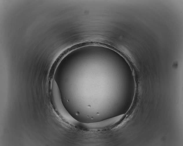 X0000089950924200707061117