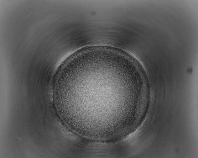 X0000089950925200707061117