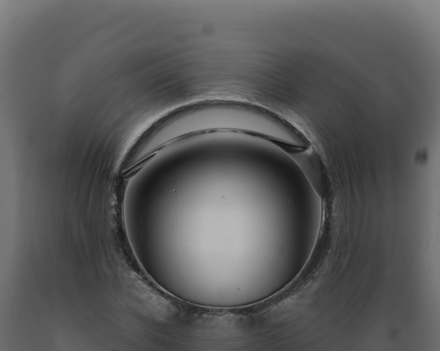 X0000089950926200707061117