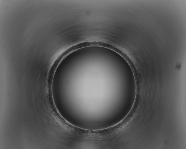 X0000089950927200707061117
